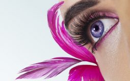 Mediengestalter Azubis Erstausbildung Digitale Medien Datenhandling Drucktechnik Adobe Programmschulung Grundkurs Adobe Illustrator Werkzeuge in Photoshop Fertigkeiten der Bildbearbeitung Aufbaukurs Adobe InDesign Adobe-Programmen