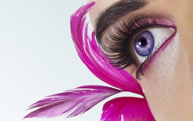 Mediengestalter Azubis Erstausbildung Digitale Medien Datenhandling Drucktechnik Adobe Programmschulung Grundkurs Adobe Illustrator Werkzeuge in Photoshop Fertigkeiten der Bildbearbeitung Aufbaukurs Adobe InDesign Adobe-Programmen